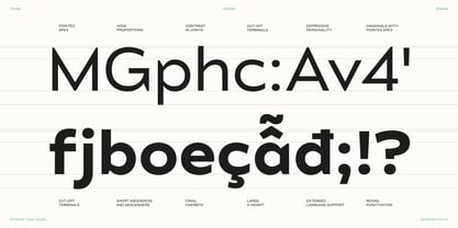 Zonda Font Poster 4