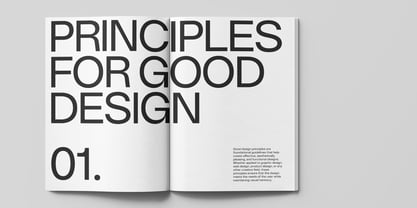 DK Grotesk Font Poster 2