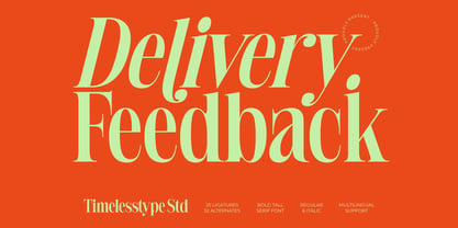 Delivery Feedback Font Poster 1