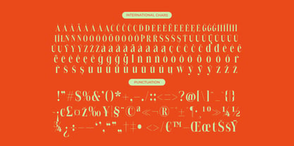 Delivery Feedback Font Poster 14