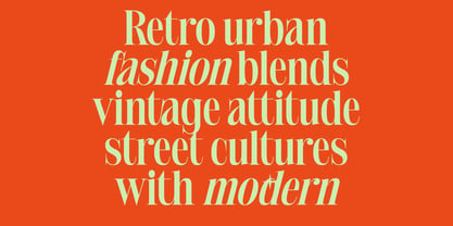 Delivery Feedback Font Poster 10