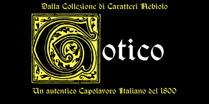 R41 Gotico Font Poster 3