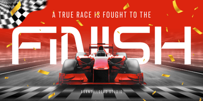 Spotfix Font Poster 12