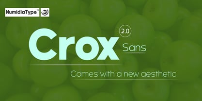 Crox Font Poster 1