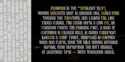 Echolette Font Poster 4