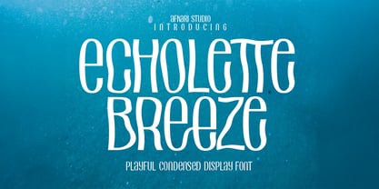 Echolette Font Poster 1