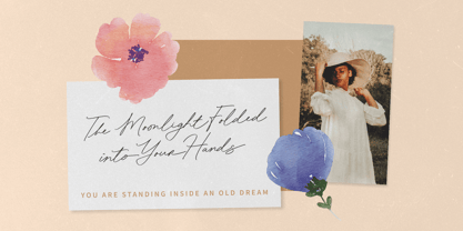 Beloved Harmony Font Poster 10