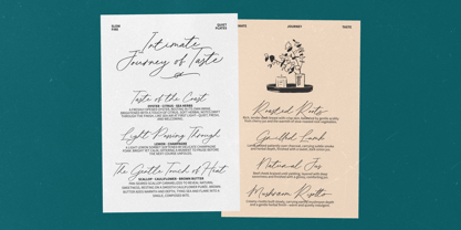 Beloved Harmony Font Poster 5