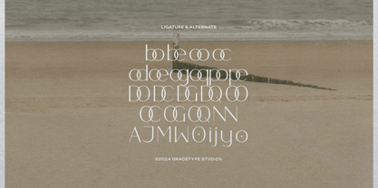 Kleanna Font Poster 12