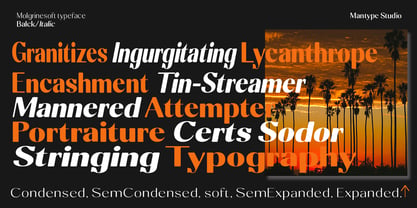 Molgrine Font Poster 4