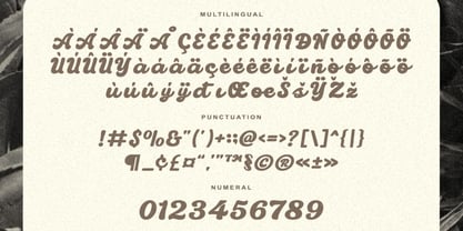 Monclaire Font Poster 3