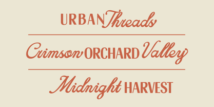 Friday Market Script Font Poster 6