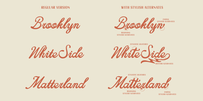 Friday Market Script Font Poster 4