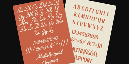 Friday Market Script Font Poster 10