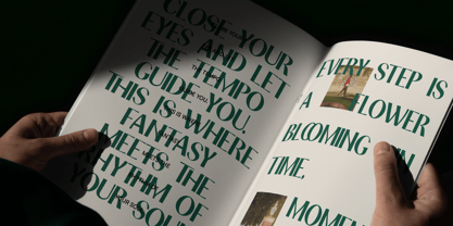 IT Weralionis Font Poster 8