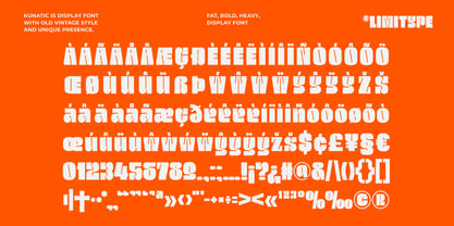 Kunatic Font Poster 12