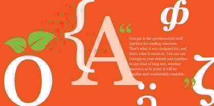Georgia Font Poster 2