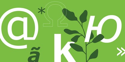 Verdana Font Poster 2