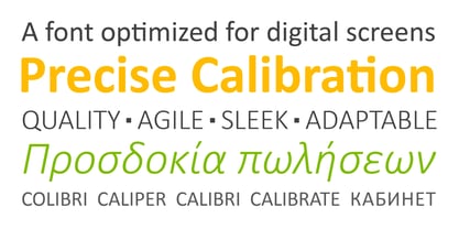 Calibri (MS) Font Poster 3