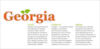 Georgia Font Poster 4