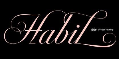 Habil Font Poster 1