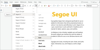 Segoe UI Font Poster 5