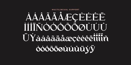 Afatera Font Poster 6