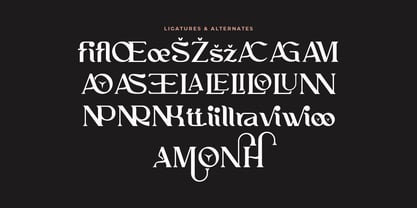 Afatera Font Poster 8