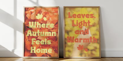 Groopa Font Poster 4