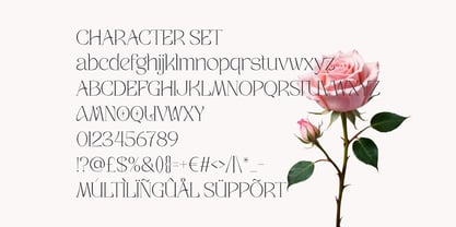 Velisse Font Poster 5