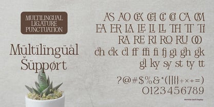 Michine Font Poster 6