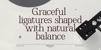 Michine Font Poster 7