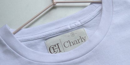 Michine Font Poster 12