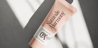 Michine Font Poster 5