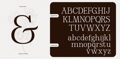 Michine Font Poster 8