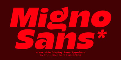 TNSC Migno Sans Font Poster 1