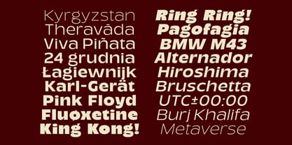 TNSC Migno Sans Font Poster 6