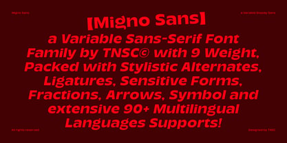 TNSC Migno Sans Font Poster 9