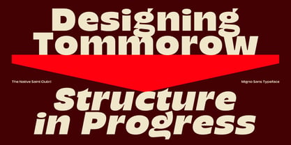 TNSC Migno Sans Font Poster 11