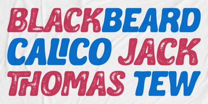 Coastella Font Poster 2