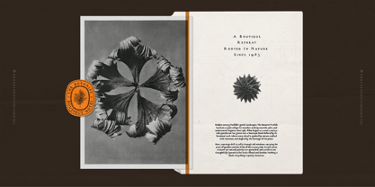 HV Sylvatheca Font Poster 6