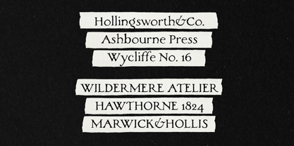 HV Sylvatheca Font Poster 8