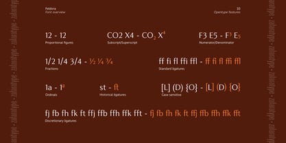 Feldora Font Poster 10
