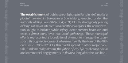 Feldora Font Poster 7