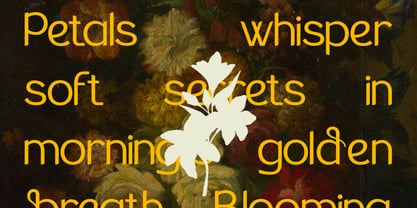 The Braven Font Poster 4