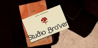 The Braven Font Poster 6