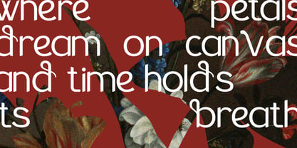 The Braven Font Poster 3