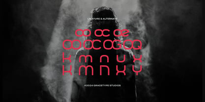 Renoire Font Poster 12