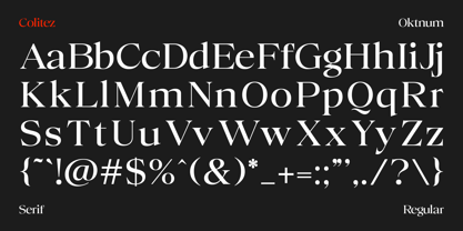 Colitez Serif Font Poster 14