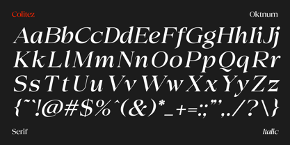 Colitez Serif Font Poster 13